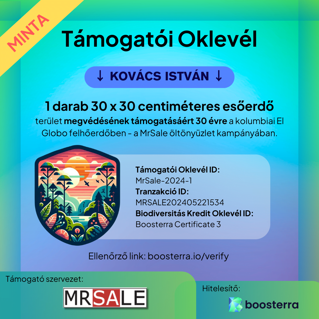 Egyéni támogató oklevél minta