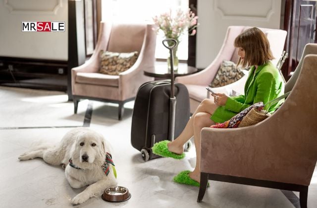 szállodai etikett háziállat